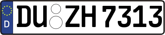 DU-ZH7313