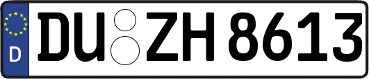 DU-ZH8613