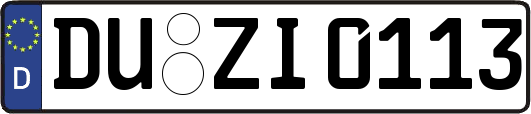 DU-ZI0113