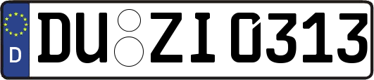 DU-ZI0313