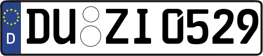 DU-ZI0529