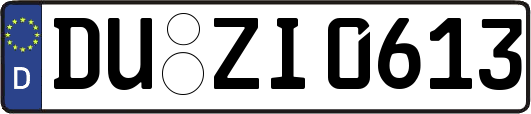 DU-ZI0613