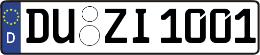 DU-ZI1001