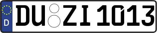DU-ZI1013
