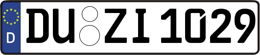 DU-ZI1029