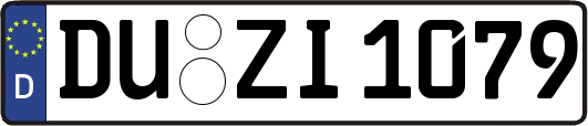 DU-ZI1079