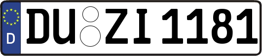 DU-ZI1181