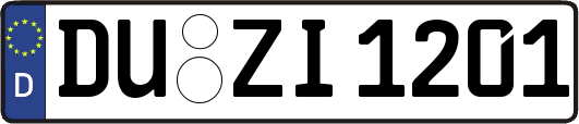 DU-ZI1201