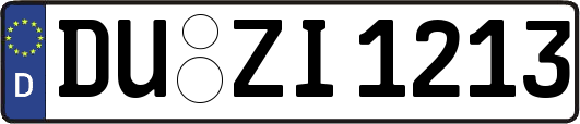 DU-ZI1213