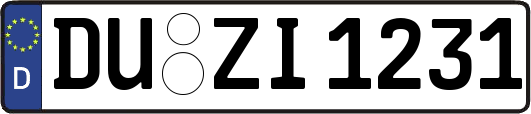 DU-ZI1231