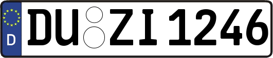 DU-ZI1246