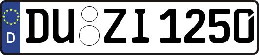 DU-ZI1250