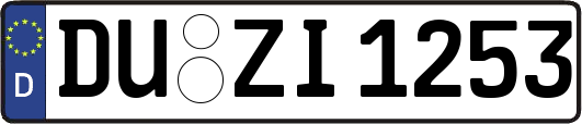 DU-ZI1253