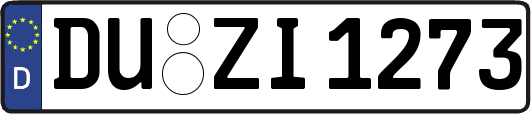 DU-ZI1273