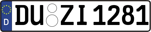 DU-ZI1281