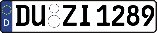 DU-ZI1289