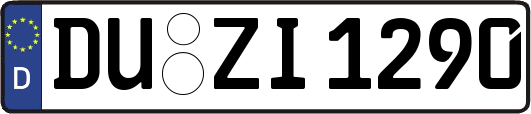DU-ZI1290