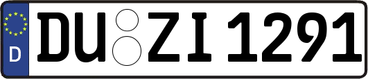 DU-ZI1291