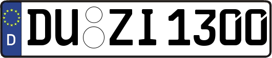 DU-ZI1300