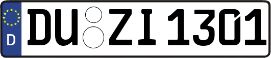 DU-ZI1301