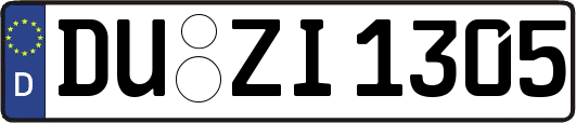 DU-ZI1305