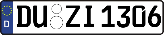 DU-ZI1306