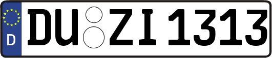 DU-ZI1313