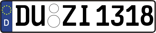 DU-ZI1318