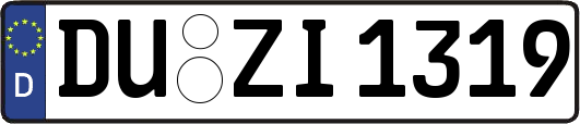 DU-ZI1319