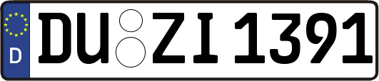 DU-ZI1391