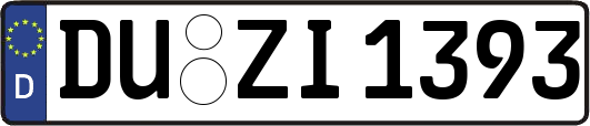 DU-ZI1393