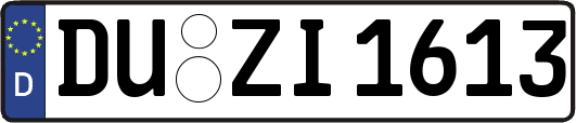 DU-ZI1613