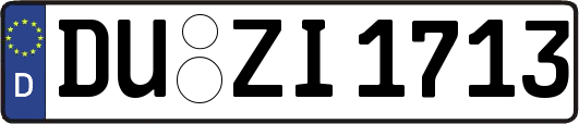 DU-ZI1713