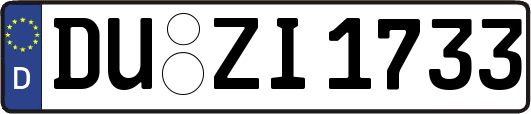 DU-ZI1733