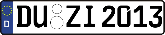 DU-ZI2013