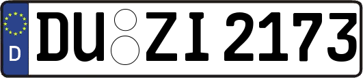 DU-ZI2173