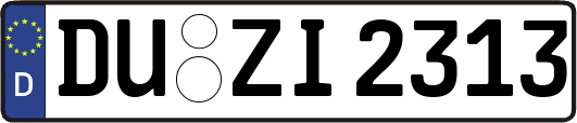 DU-ZI2313