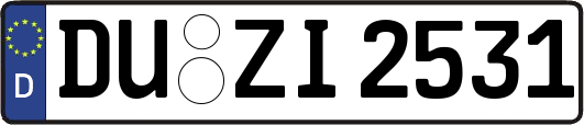 DU-ZI2531