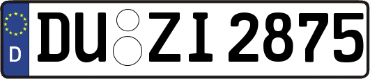 DU-ZI2875