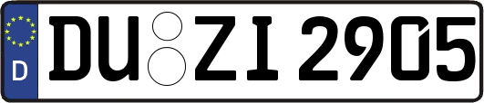 DU-ZI2905