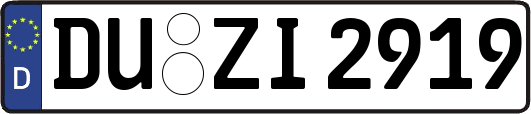 DU-ZI2919