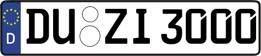 DU-ZI3000