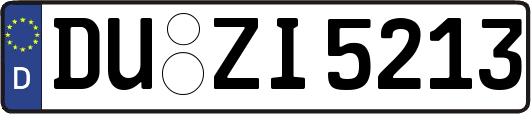 DU-ZI5213
