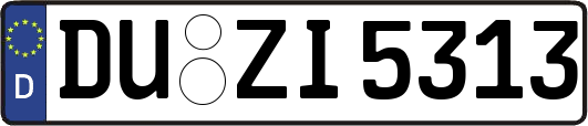DU-ZI5313