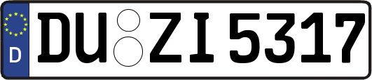 DU-ZI5317