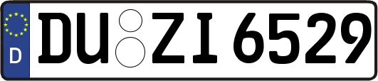 DU-ZI6529