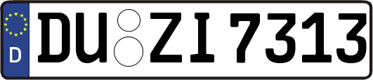 DU-ZI7313
