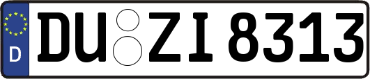 DU-ZI8313