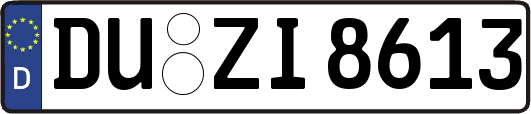 DU-ZI8613