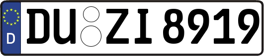 DU-ZI8919